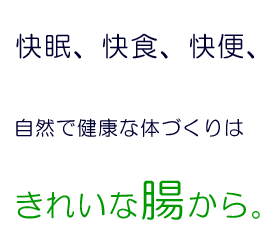 生薬製剤便秘薬の流注下し（るちゅうくだし）